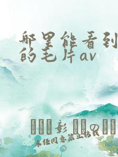 哪里能看到免费的毛片av