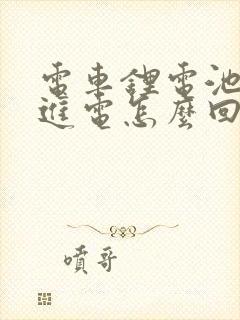 电车锂电池充不进电怎么回事