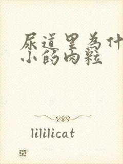 尿道里为什么有小的肉粒