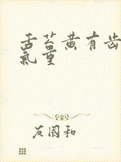 舌苔黄有齿痕湿气重