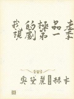 我的极品老婆电视剧第一季免费观看