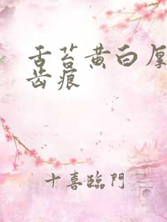 舌苔黄白厚腻有齿痕