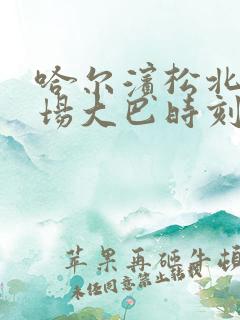 哈尔滨松北区机场大巴时刻表