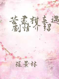 苦尽柑来遇见你 剧情介绍