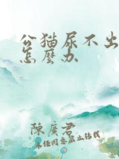 公猫尿不出尿来怎么办