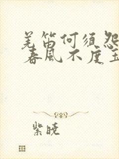 羌笛何须怨杨柳 春风不度玉门关修辞