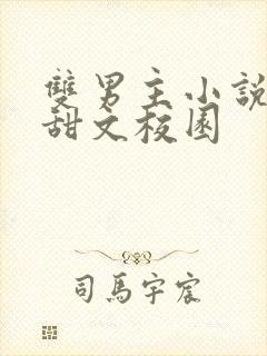 双男主小说推荐甜文校园