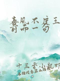 春风不度玉门关前面一句