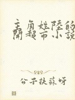 主角姓陆的重生开超市小说