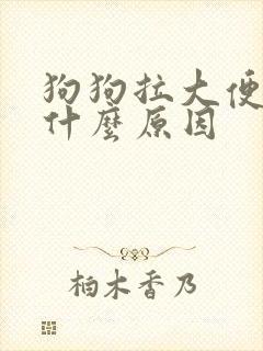 狗狗拉大便臭是什么原因