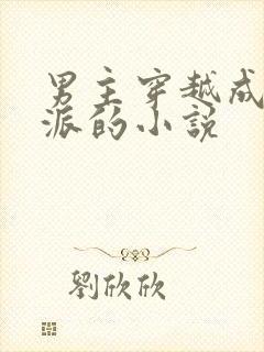 男主穿越成为反派的小说