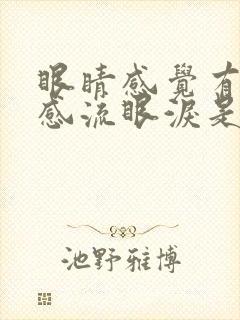 眼睛感觉有异物感流眼泪是怎么回事