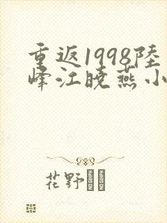 重返1998陆峰江晓燕小说