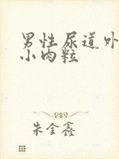 男性尿道外侧长小肉粒