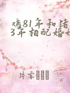 鸡81年和猪83年相配婚姻如何