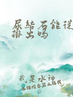 尿结石能从尿中排出吗