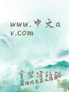 www.中文av.com