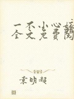 一不小心嫁总裁全文免费阅读