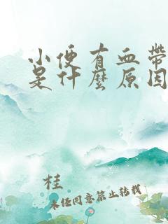 小便有血带血块是什么原因