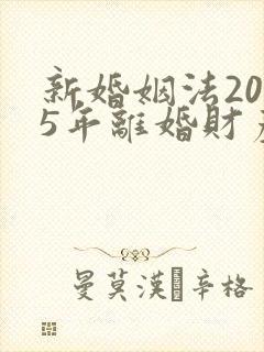 新婚姻法2025年离婚财产分割新规定