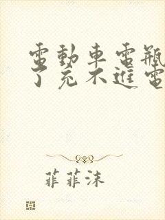 电动车电瓶放久了充不进电怎么解决