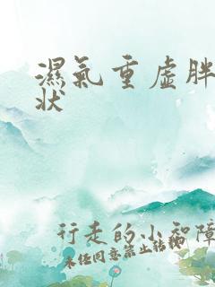 湿气重虚胖的症状