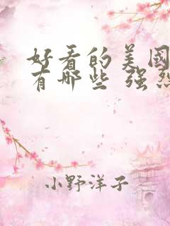 好看的美国电影有哪些 强烈推荐