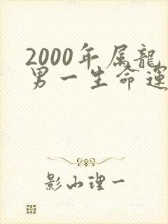 2000年属龙男一生命运