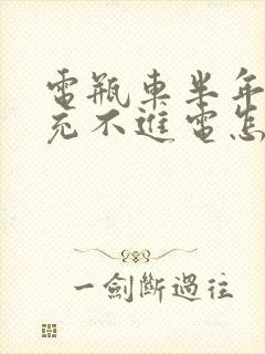 电瓶车半年没骑充不进电怎么办