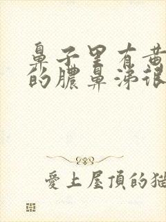 鼻子里有黄绿色的脓鼻涕很黏