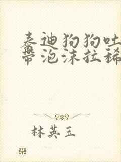 泰迪狗狗吐黄水带泡沫拉稀