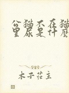 公猫不在猫砂盆里尿是什么原因