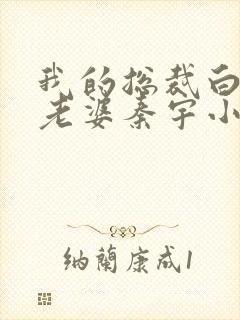 我的总裁白富美老婆秦宇小说完结版