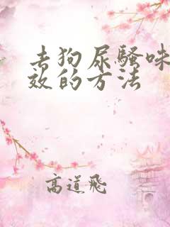 去狗尿骚味最有效的方法