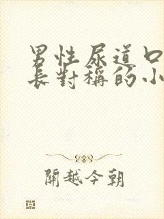 男性尿道口两侧长对称的小疙瘩