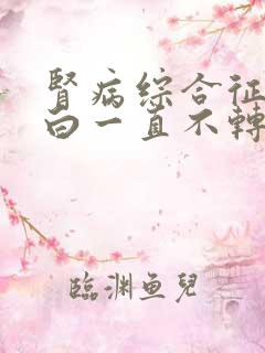 肾病综合征尿蛋白一直不转阴