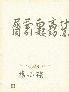 尿蛋白高什么原因引起的怎么办