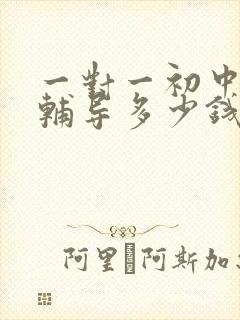 一对一初中数学辅导多少钱