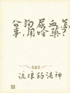 公狗尿血怎么回事,用啥药?