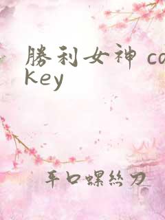 胜利女神 cdkey