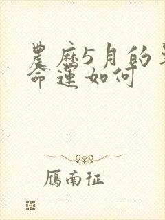 农历5月的羊女命运如何