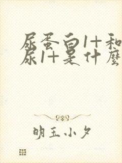 尿蛋白1+和血尿1+是什么原因