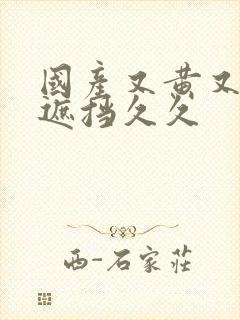 国产又黄又爽无遮挡久久