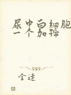 尿中白细胞酯酶一个加号