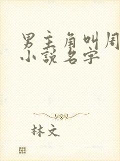 男主角叫周浩的小说名字
