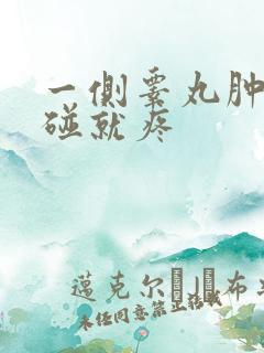 一侧睾丸肿大一碰就疼