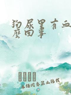 狗尿里有血丝怎么回事