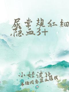 尿常规红细胞高,隐血3+