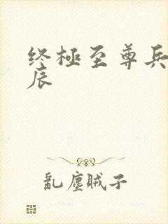 终极至尊兵王苏辰