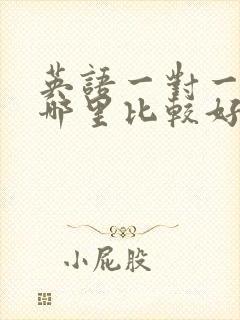 英语一对一补课哪里比较好